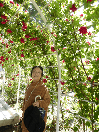 バラ公園のバラのアーチと広島の母