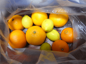 おいしい柑橘類がたくさん！